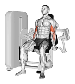 Lever Biceps Curl demonstration