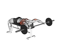 Thumbnail for the video of exercise: Jersey ancho con barra