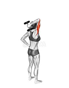 Dumbbell One Arm Triceps Extension demonstration