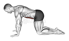 Abdominal 4 points demonstration