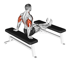 Bench Dip with legs on bench demonstration