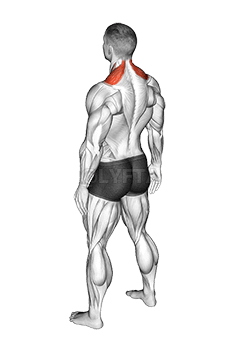 Bodyweight Shrug demonstration