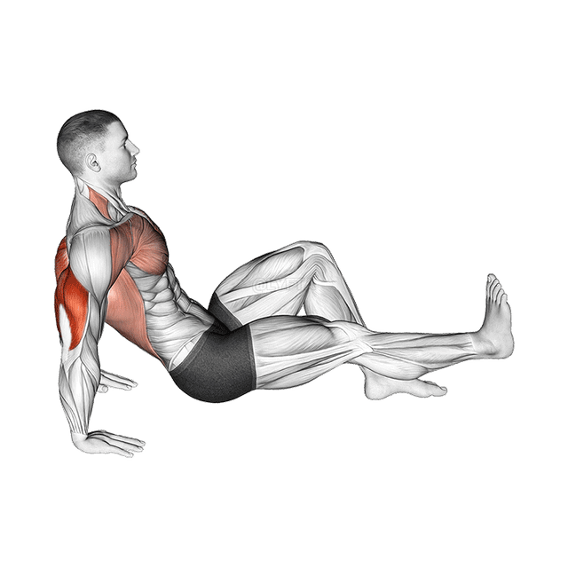 Single Leg Dip on floor demonstration