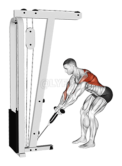 Cable Bent-Over Row with Rope Attachment demonstration