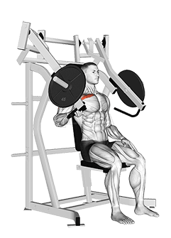 Lever Incline One Arm Chest Press demonstration