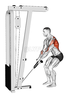 Cable Low Row with Rope Attachment demonstration