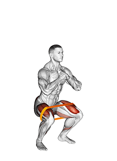 Thumbnail for the video of exercise: Widerstandsband-Kniebeuge