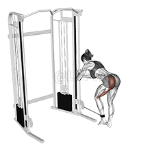 Cable Donkey Kickback demonstration