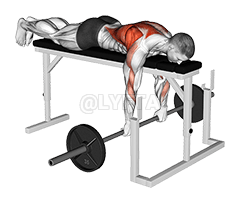 Barbell Lying Close-Grip Overhand Row on Rack demonstration
