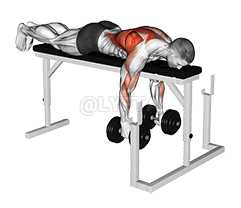 Dumbbell Lying Close-Grip Parallel Row on Rack demonstration