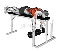 Dumbbell Lying Wide-Grip Row on Rack demonstration