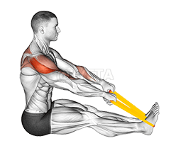 Thumbnail for the video of exercise: Resistance Band Seated Face Pull