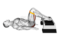 Thumbnail for the video of exercise: Resistance Band Elevated Glute Bridge