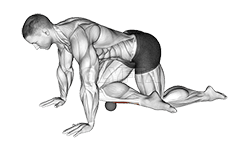 Thumbnail for the video of exercise: Rolbal Tibialis Anterior