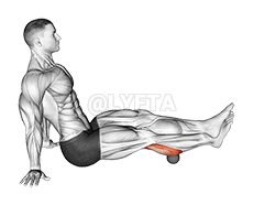 Thumbnail for the video of exercise: Roll Ball Calf
