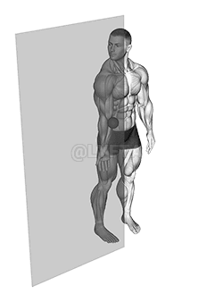 Thumbnail for the video of exercise: Roll Ball Forearm Pronator