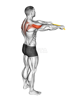 Resistance Band Pull Apart demonstration