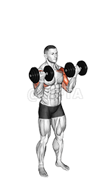 Dumbbell Standing Biceps Curl to Shoulder Press demonstration