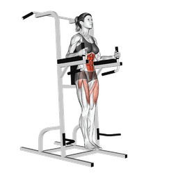 Captains Chair Straight Leg Raise