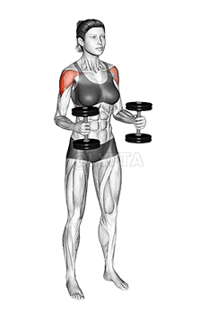 رفع الدمبل بالذراع المثنية إلى الجانب demonstration