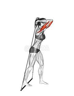 Bar Band Standing Triceps Extension demonstration