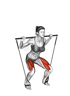 Thumbnail for the video of exercise: Bar Band Squat