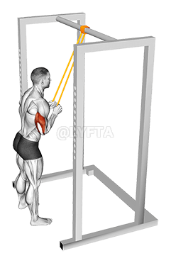 Resistance Band Triceps Pushdown demonstration