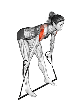 Bar Band Skier demonstration