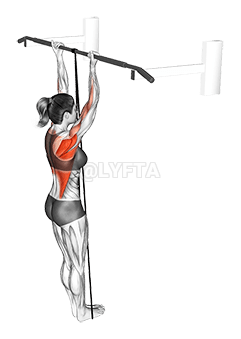 Thumbnail for the video of exercise: Band Assisted Chin-Up