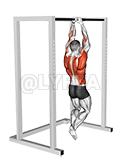 Commando Pull-up