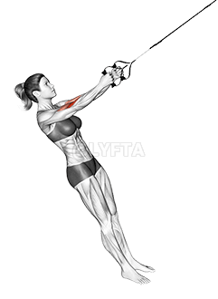 Suspension Hammer Curl (female)