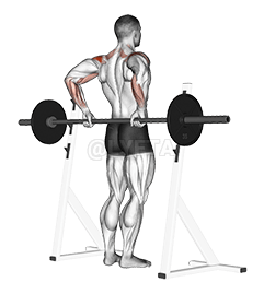 Elevación del deltoides posterior con barra demonstration