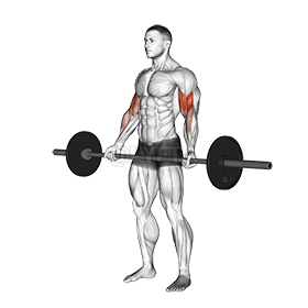 Curl con impugnatura larga in piedi con bilanciere demonstration