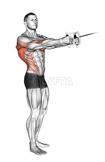 Cable Standing Twist Row demonstration