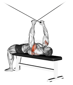 كابل مستلق عكسي demonstration