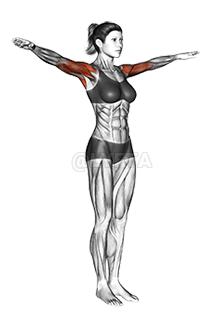 Circles Arm demonstration