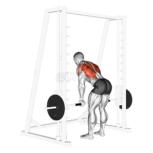 Smith curvado sobre remada estreita supinada demonstration