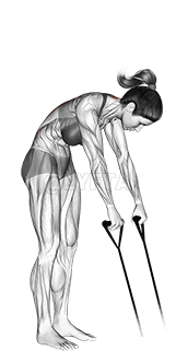 带背延伸 demonstration