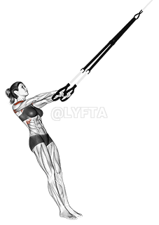 Suspension Y Lateral Raise demonstration