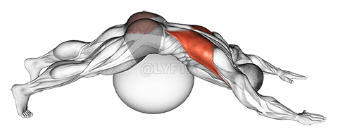 Exercise Ball Lower Back Prone Stretch demonstration