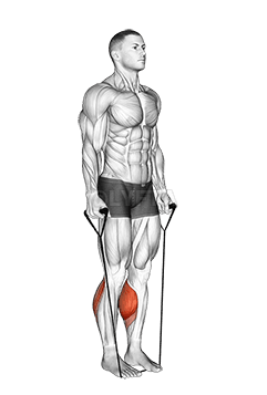 Bande Deux Sens Calf Raise - Bamako, Mali. demonstration