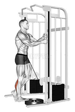 Cable Standing One Leg Calf Raise demonstration