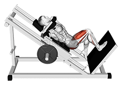 Sled One Leg Hack Squat demonstration