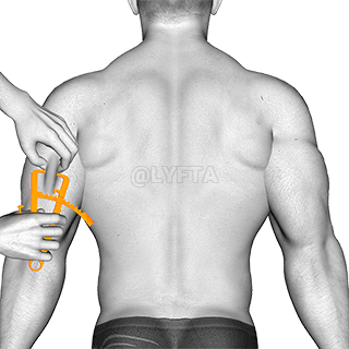 體脂肪測量 demonstration