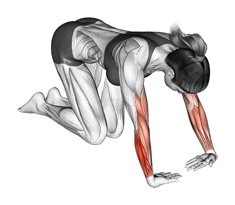 Estiramiento extensor y desviador radial de muñeca demonstration