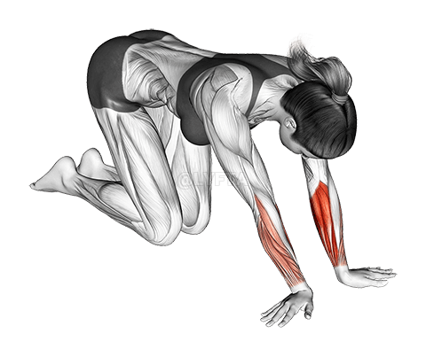 Desviador radial de muñeca y estiramiento de flexores demonstration