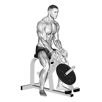 Hebelgreifhände demonstration