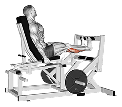 Hebel-Wadenpresse demonstration