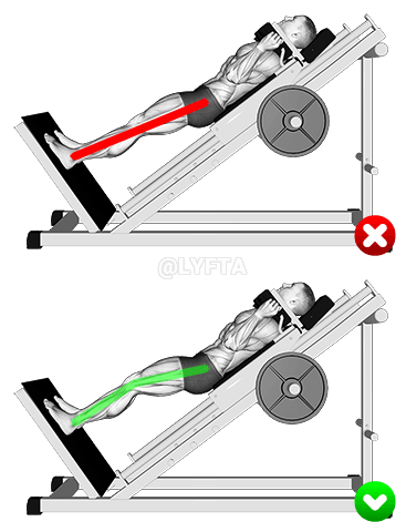 Sled Hack Squat - Legs demonstration