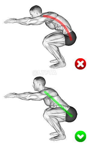 Sentadilla - Espalda demonstration